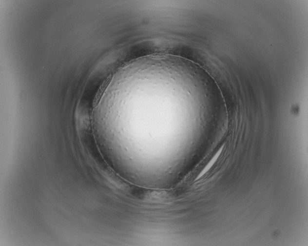 X0000090450137200707272224