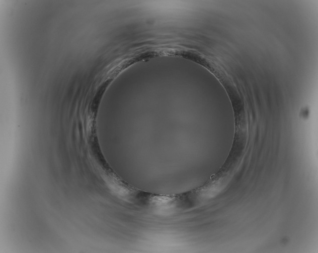 X0000090450139200707272224