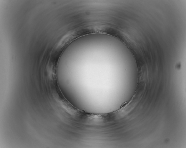 X0000090450140200707272224