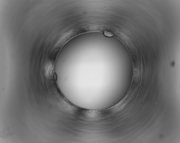 X0000090450142200707272223