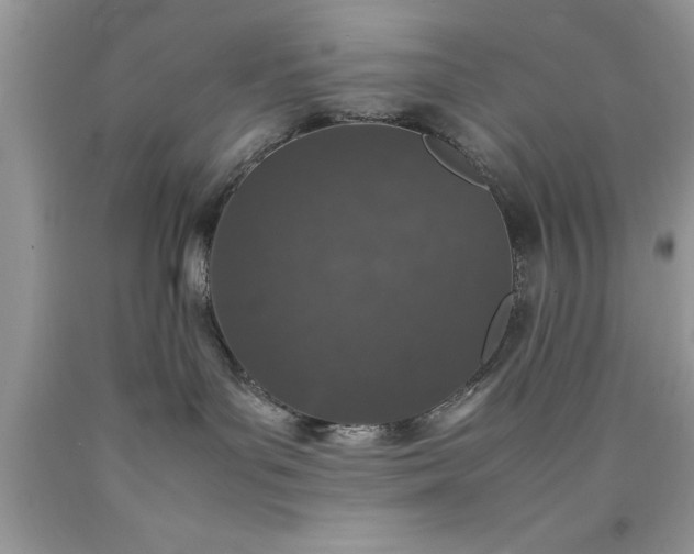 X0000090450143200707272223