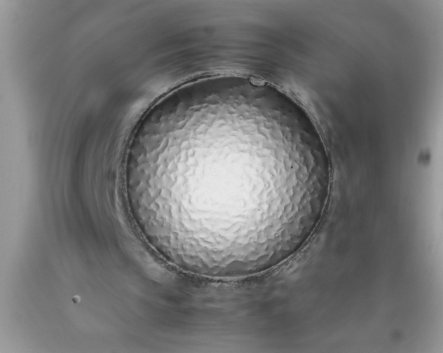 X0000090450145200707272223