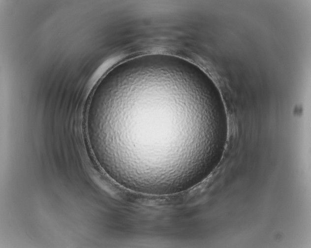 X0000090450147200707272223