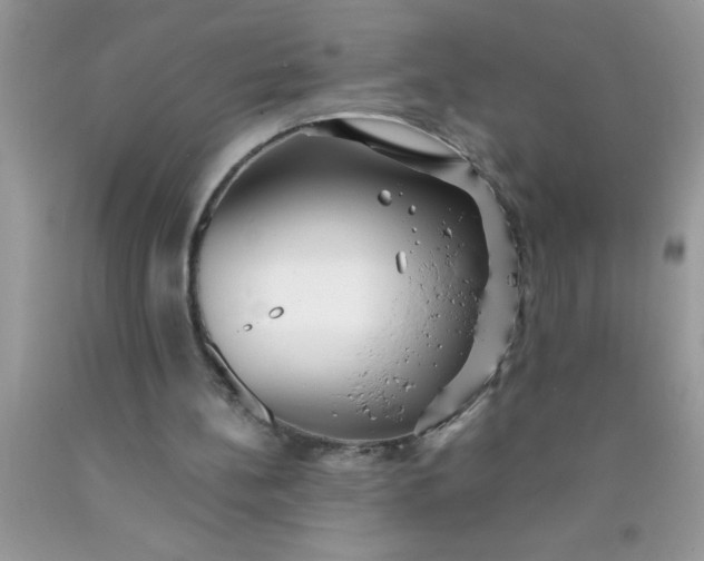 X0000090450148200707272223