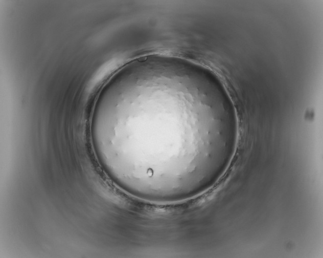 X0000090450149200707272223