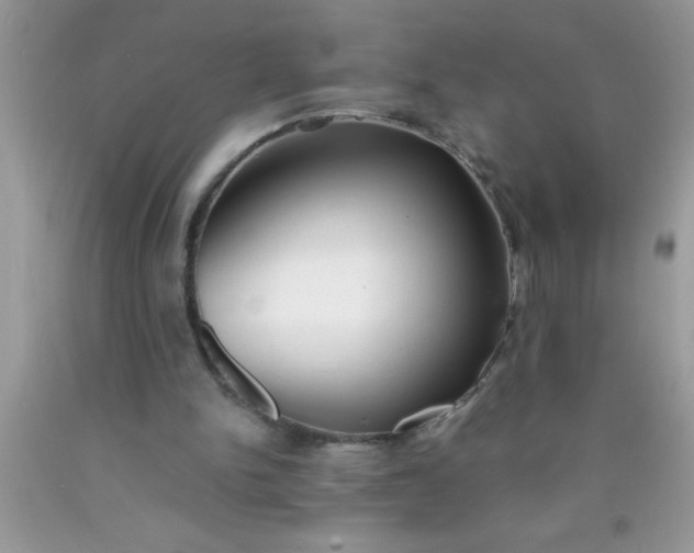 X0000090450150200707272223