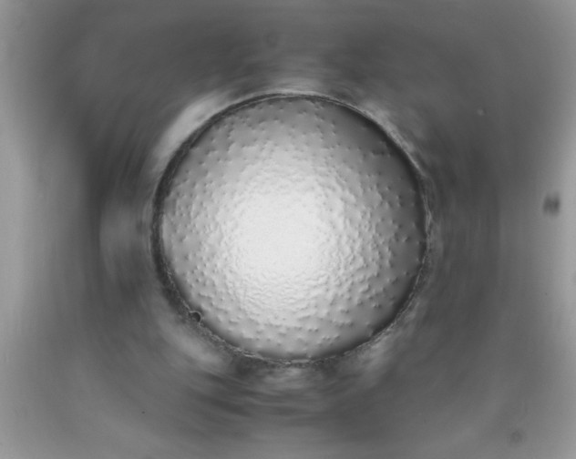 X0000090450151200707272223