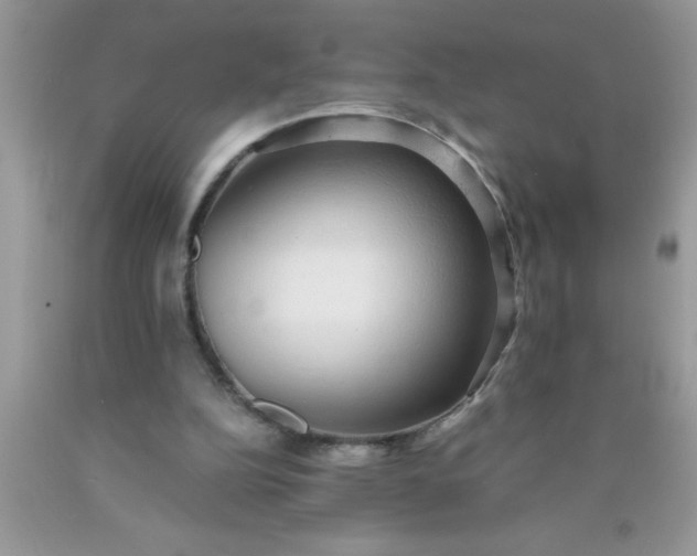 X0000090450152200707272223