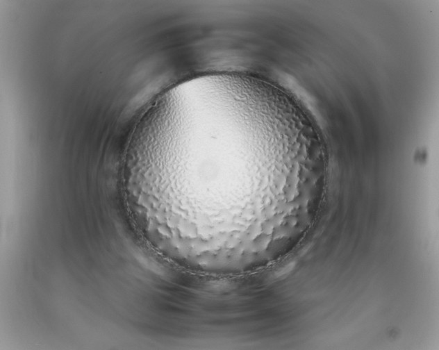 X0000090450153200707272223