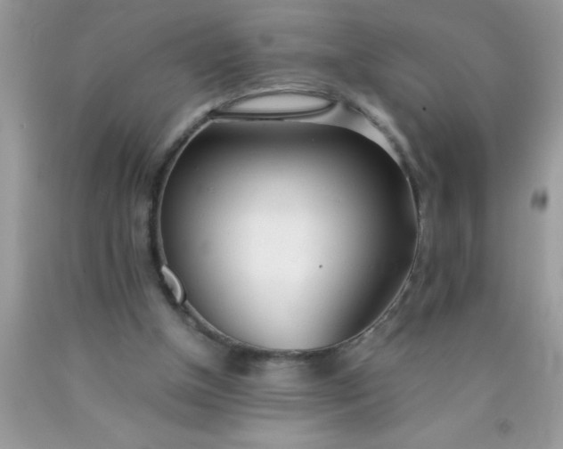 X0000090450154200707272223