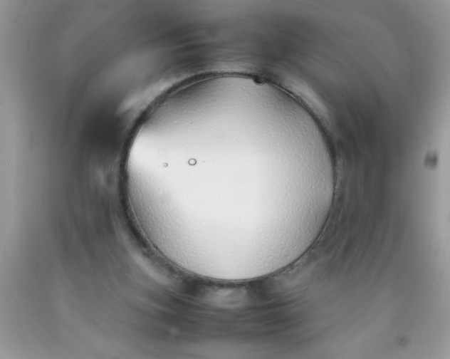 X0000090450155200707272223