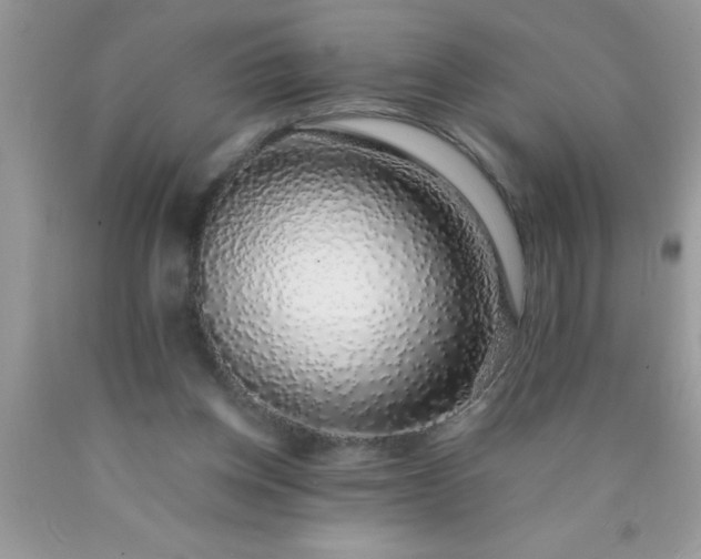 X0000090450158200707272223