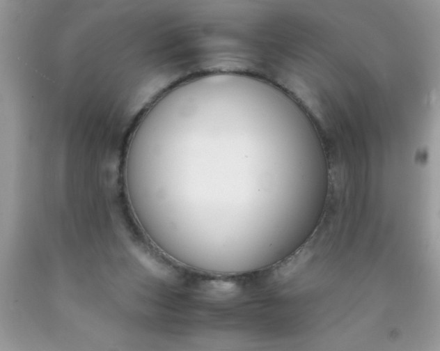 X0000090450159200707272223