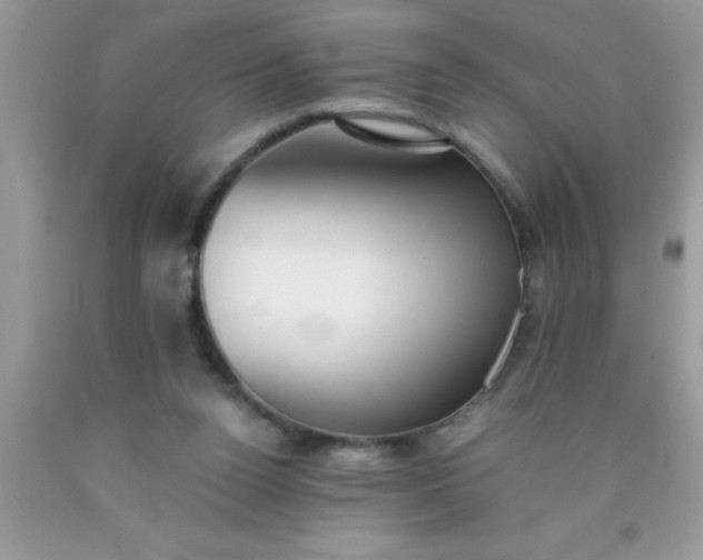 X0000090450160200707272223