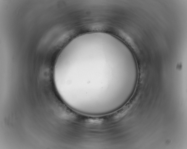 X0000090450161200707272223