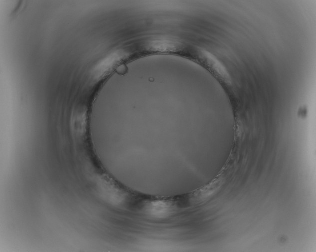 X0000090450163200707272223