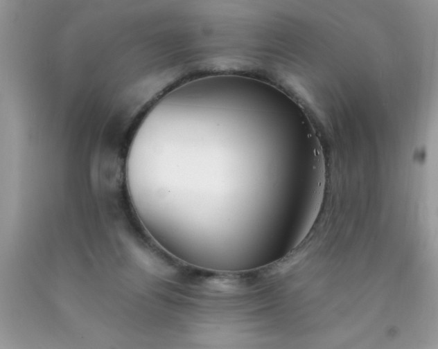 X0000090450164200707272223