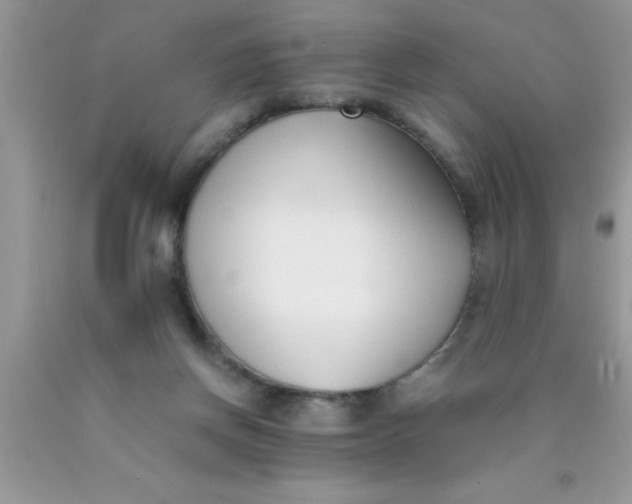 X0000090450166200707272223