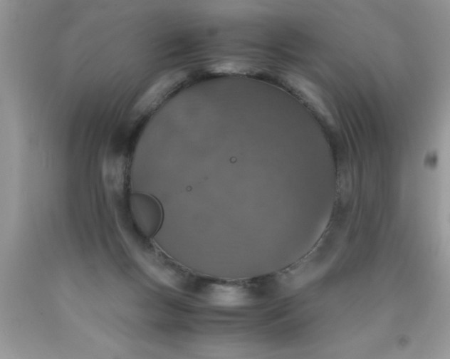 X0000090450167200707272223