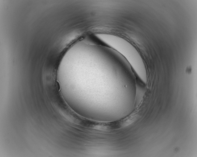 X0000090450168200707272223