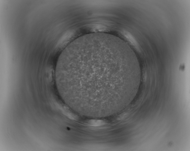 X0000090450169200707272223