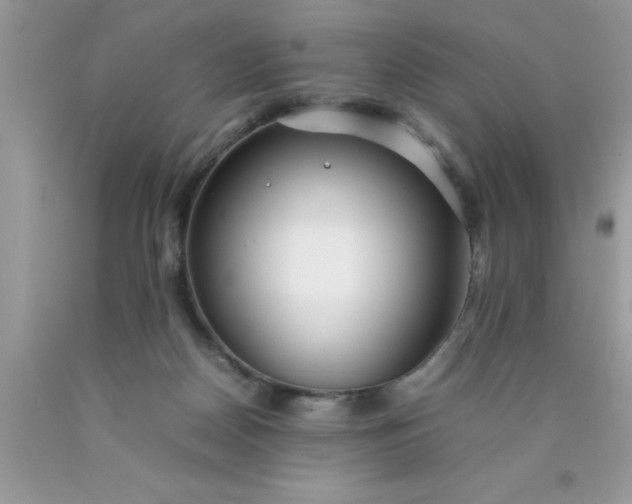 X0000090450170200707272223