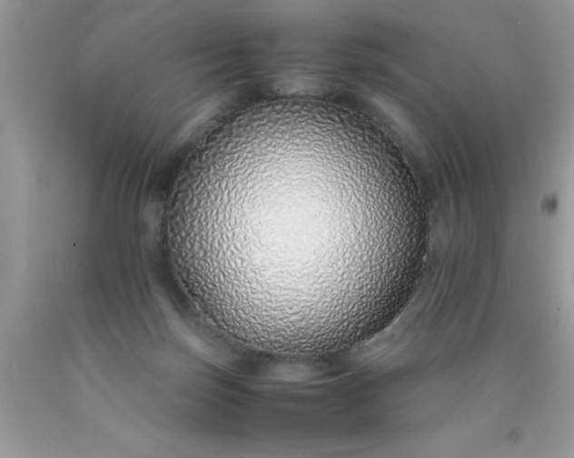 X0000090450171200707272223