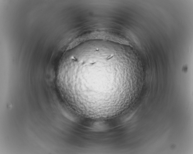 X0000090450173200707272223