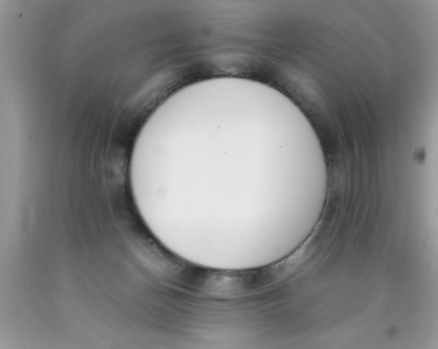 X0000090450174200707272223