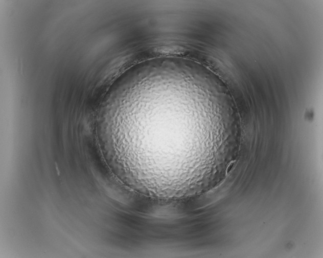 X0000090450175200707272223