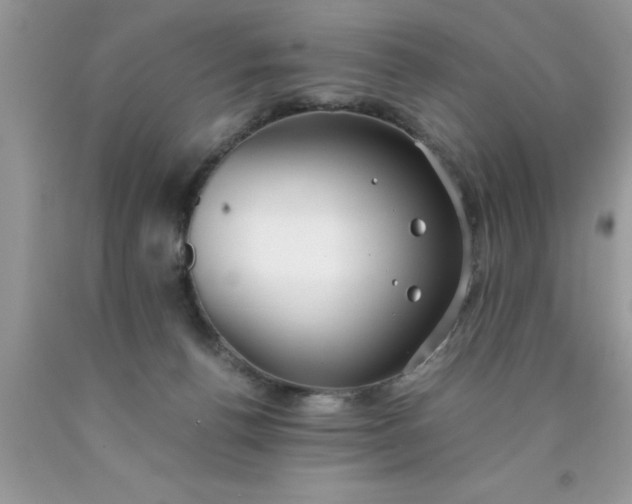 X0000090450176200707272223