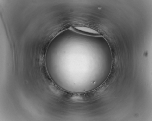 X0000090450177200707272223