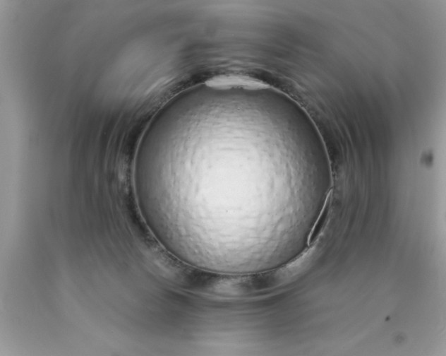 X0000090450178200707272223