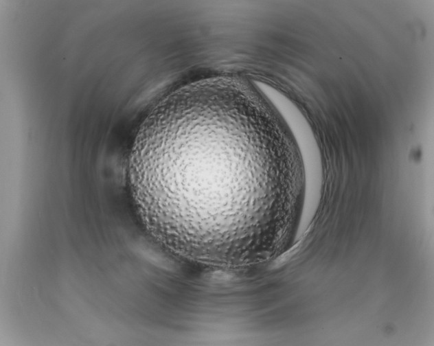 X0000090450180200707272223