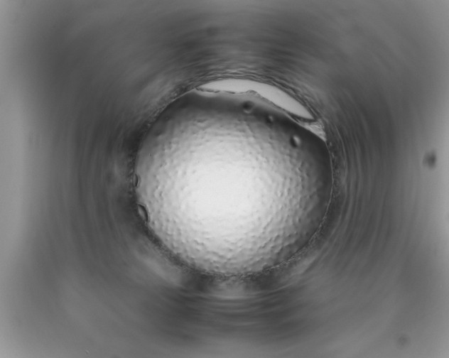 X0000090450181200707272223