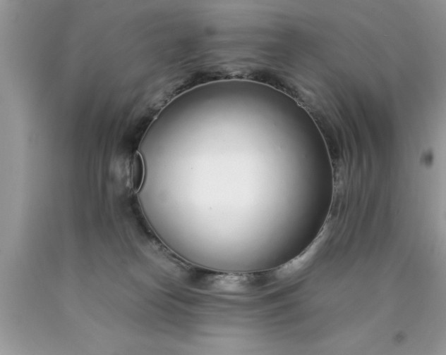 X0000090450182200707272223