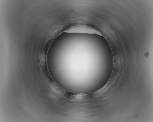 X0000090450184200707272223