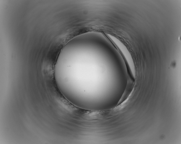 X0000090450186200707272223