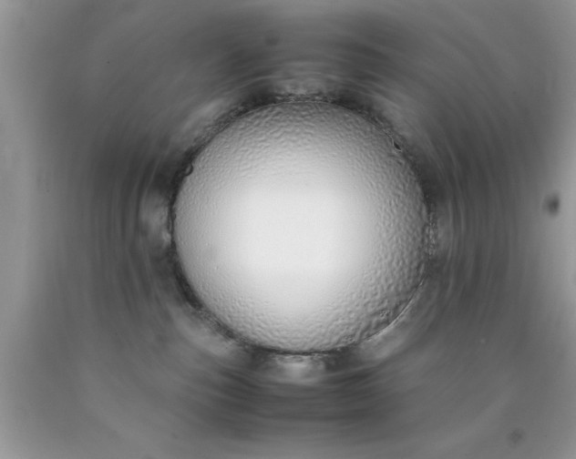 X0000090450187200707272223