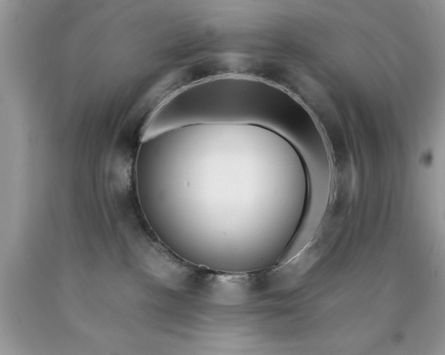 X0000090450188200707272223