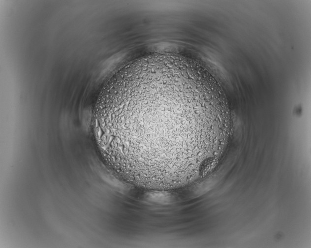 X0000090450189200707272223