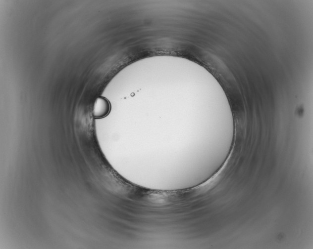 X0000090450190200707272223