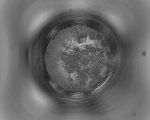 X0000090450191200707272223