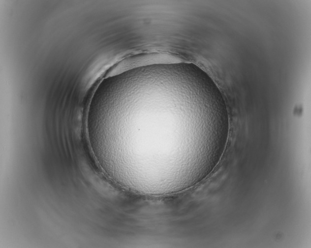 X0000090450194200707272223