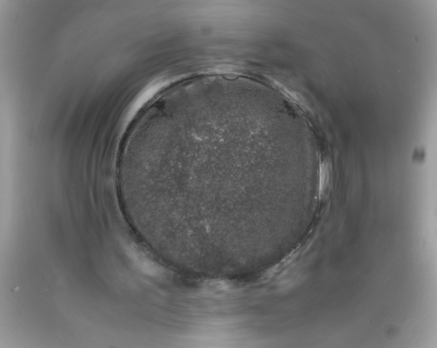 X0000090450195200707272223