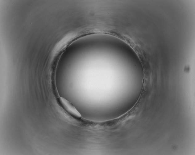 X0000090450197200707272223