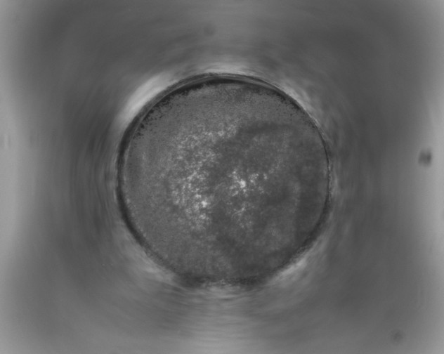 X0000090450199200707272223