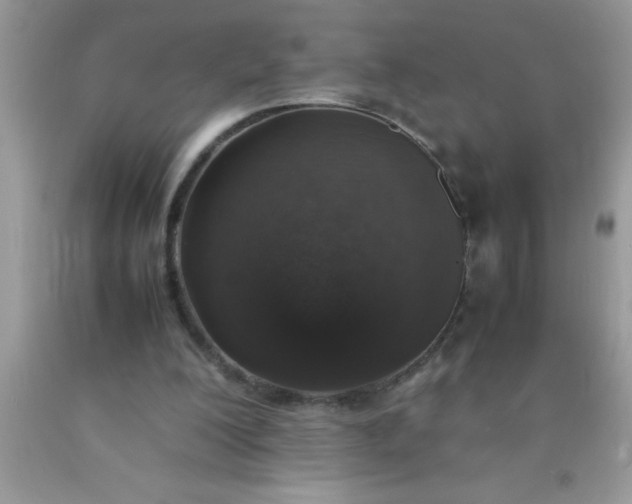 X0000090450200200707272223