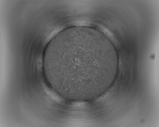 X0000090450202200707272223