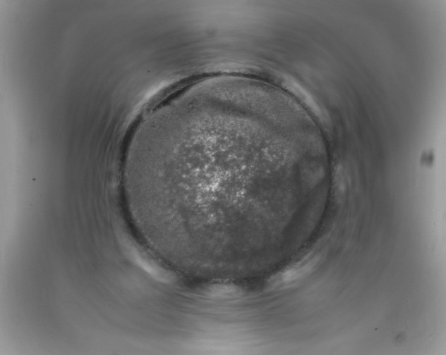 X0000090450203200707272223